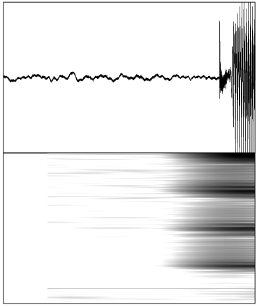 Image interference_none